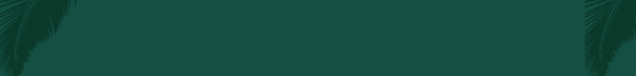 0.gif