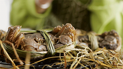 微信图片_20201018160341.gif