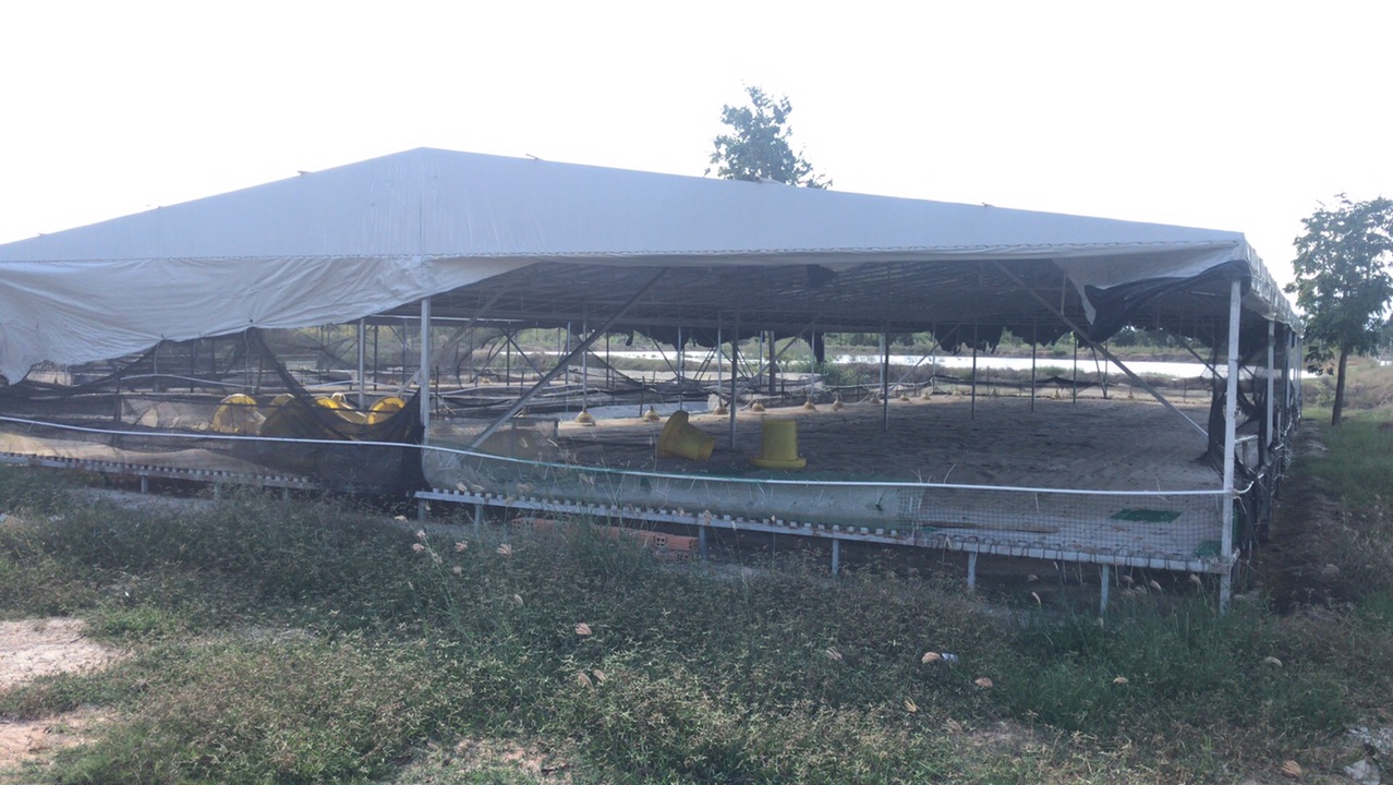 front1_0_FhX_jHiPv-uL7KDD7QOWQAPUUqtr.1608161101.jpg